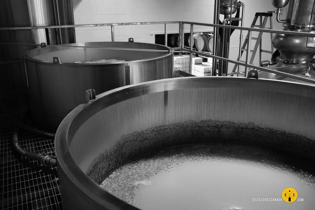 Distillerie Côte des Saints