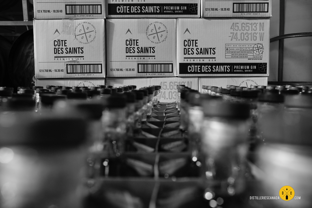 Distillerie Côte des Saints