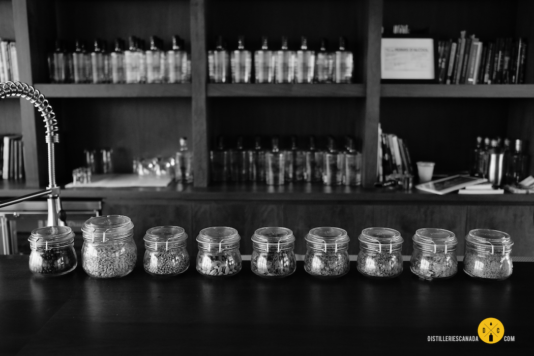 Distillerie Côte des Saints
