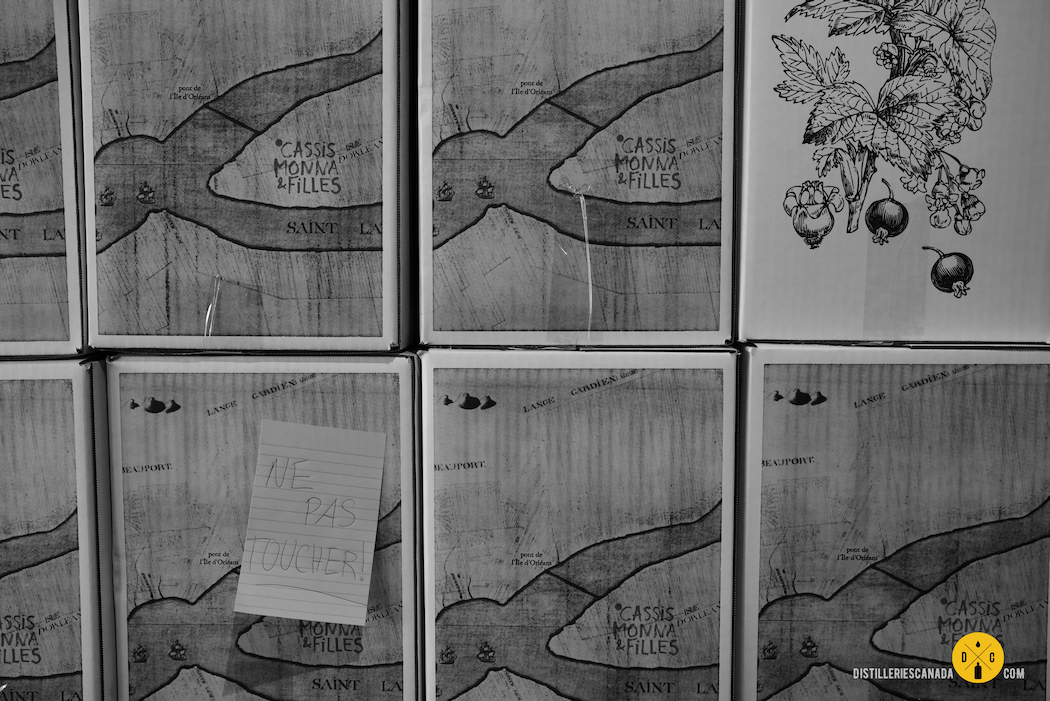 Expédition Gin